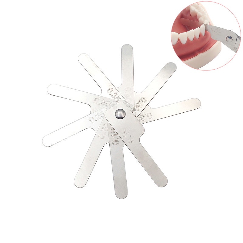 Durable Interproximal Measuring Ruler Measure Tooth Gap Reciprocating ...