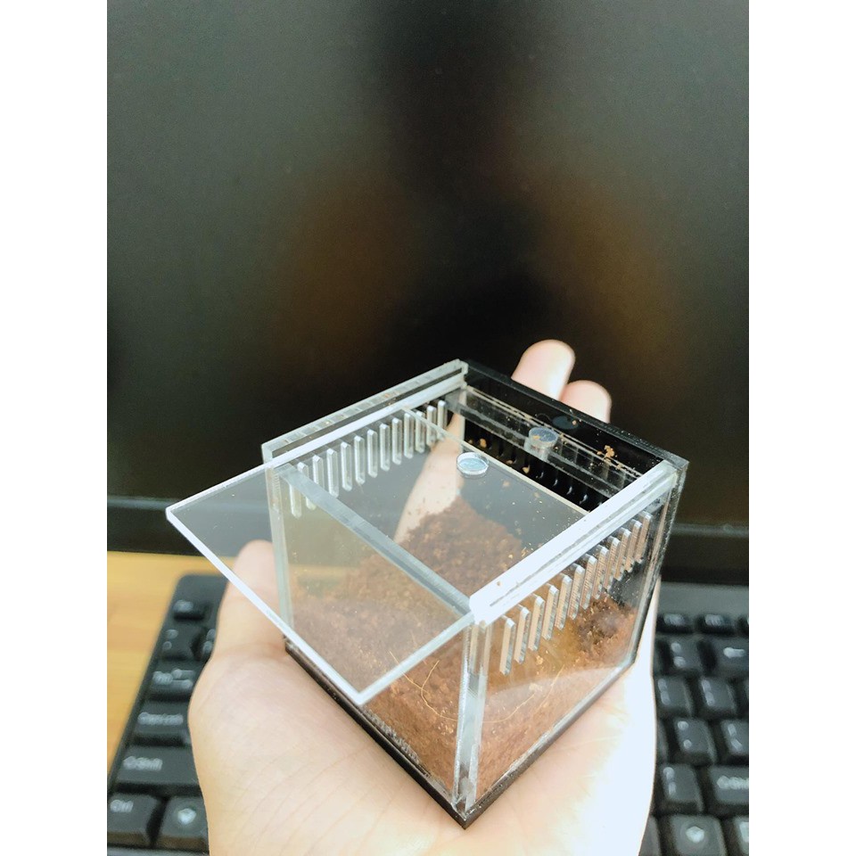 Spider CATERING BOX (TANK SLING 5-5-5CM) | Shopee Philippines