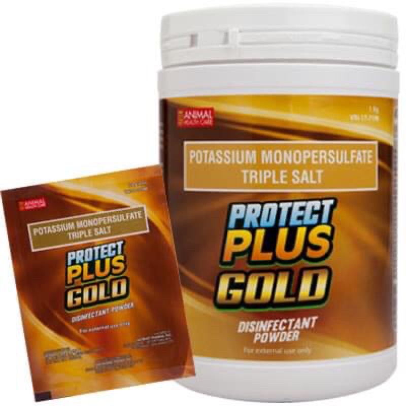 PROTECT PLUS GOLD(disenfectant powder 20g) | Shopee Philippines