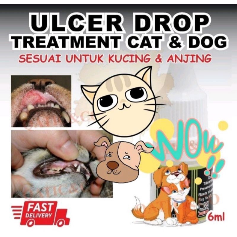 ulcer-medicine-cat-mouth-ulser-cat-mouth-pain-cat-dog-ulcer-drop