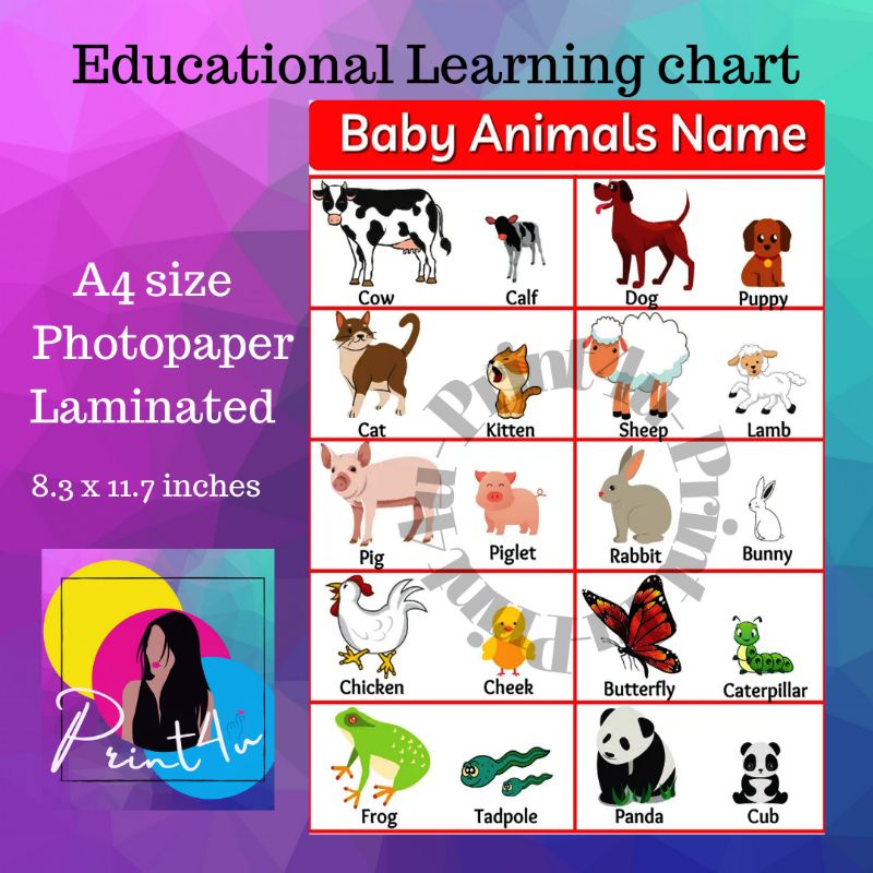 Baby Animals name kids chart - A4 laminated | Shopee Philippines