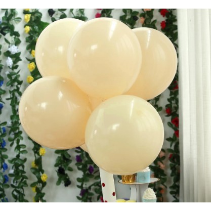 25pcs 5 inch / 10 inch / 12 inch PASTEL SKIN Color Balloon | Shopee ...