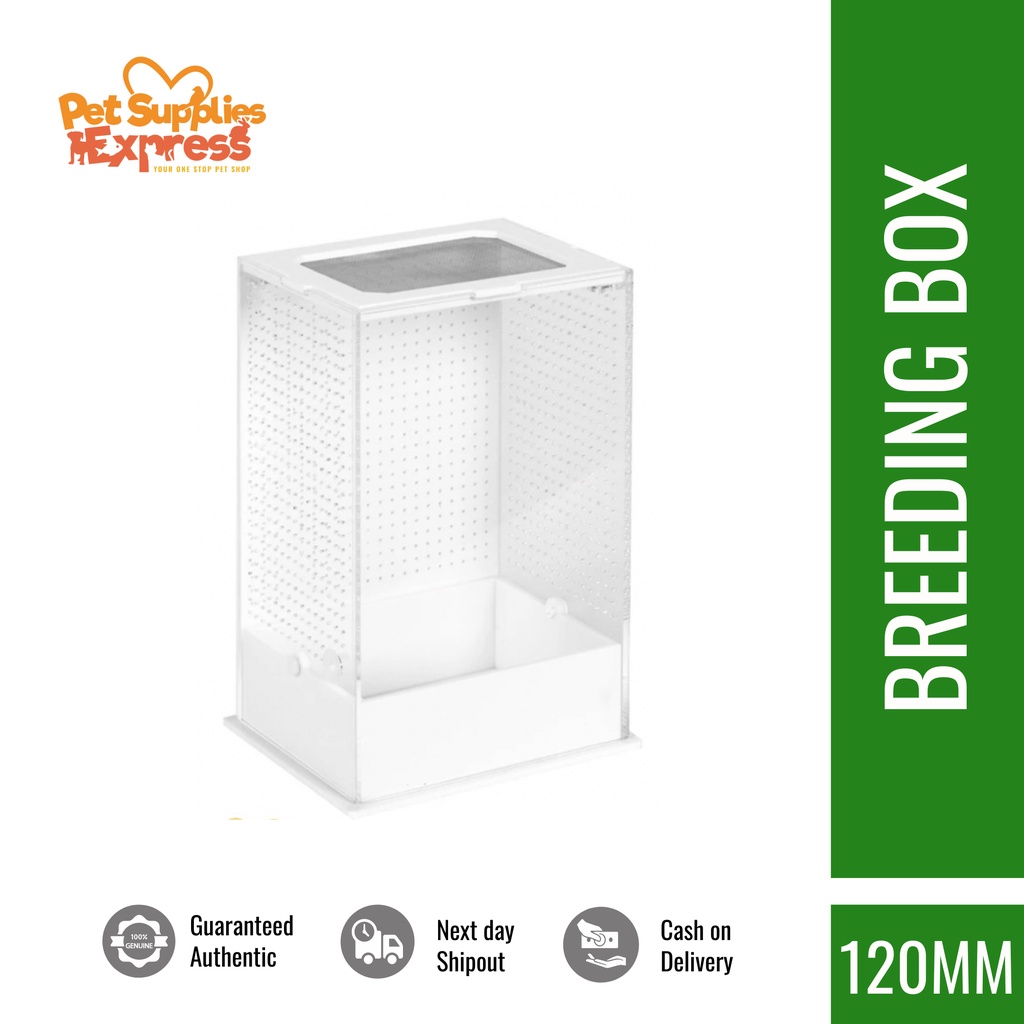 insect breeding box - Best Prices and Online Promos - Oct 2026 | Shopee ...