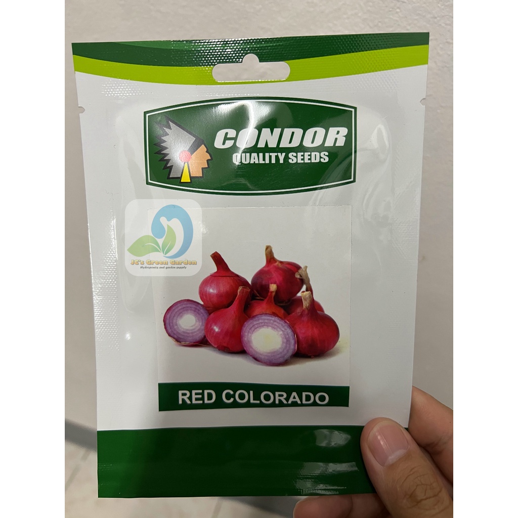 CONDOR SEEDS - ONION SEEDS/RED COLORADO/ORIGINAL PACK/5grams | Shopee ...