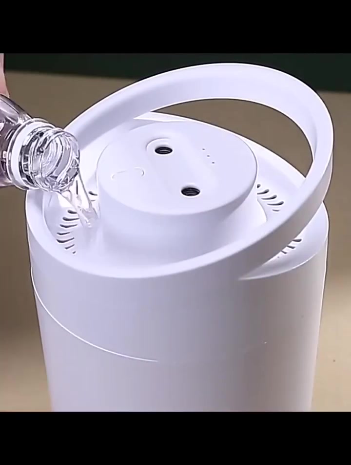 3L Humidifier Double Nozzle With Essential Oil Aroma Diffuser Purifier ...