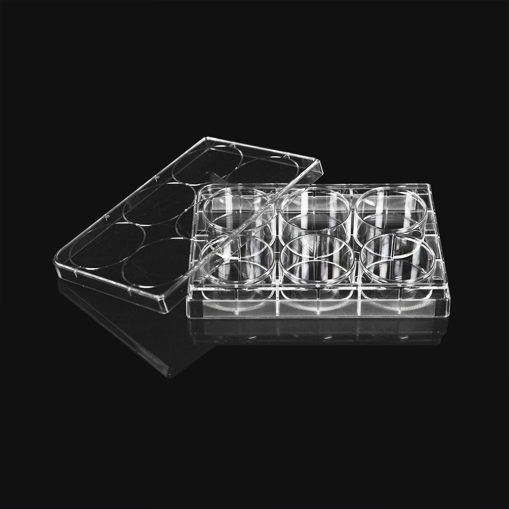 Tissue Culture Plate With Lid 6-Well Plate For Cell Culture - Cell