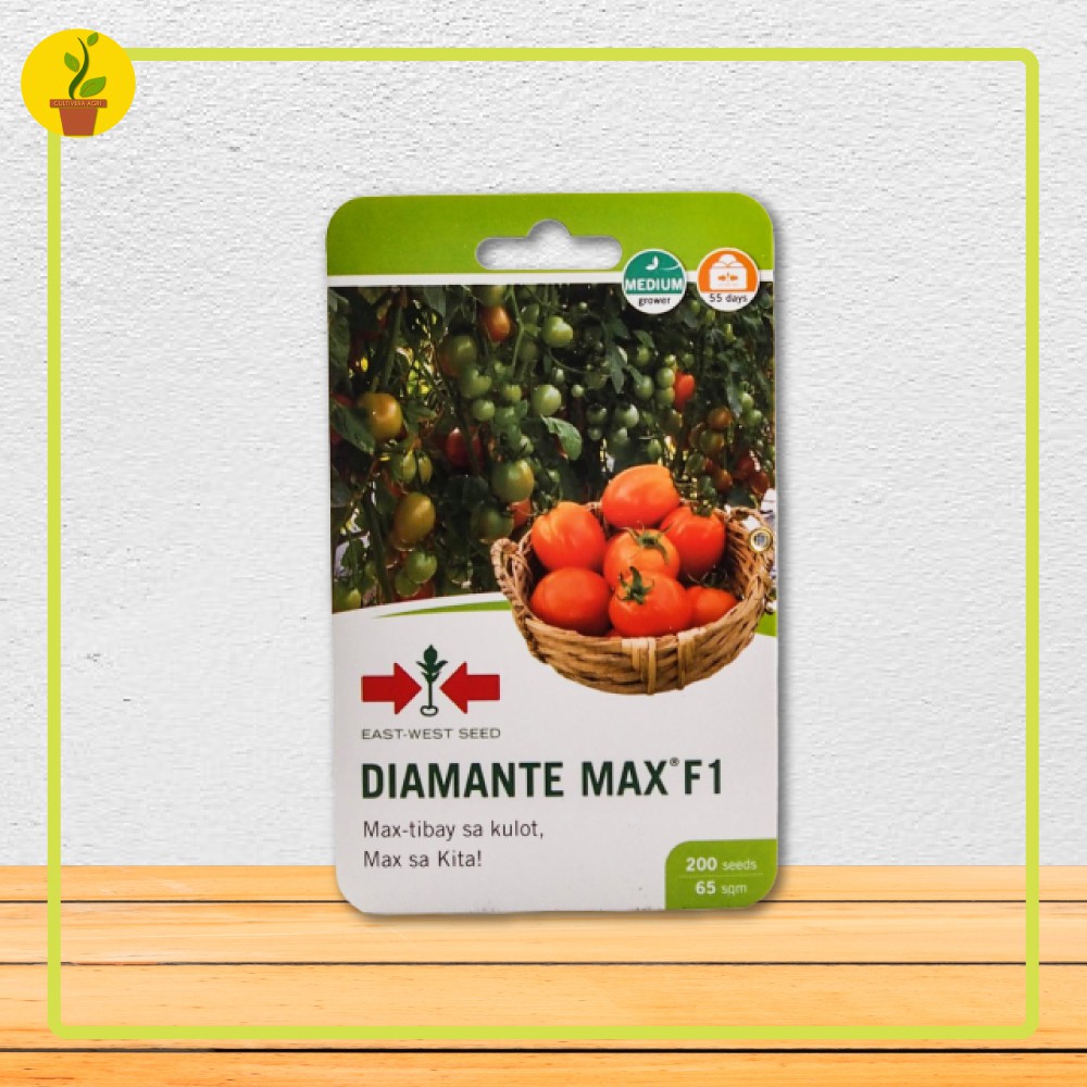 Tomato Seeds Diamante Max F1 Variety 200 Seeds Packet Eastwest By Cultiveraagri Shopee 4902