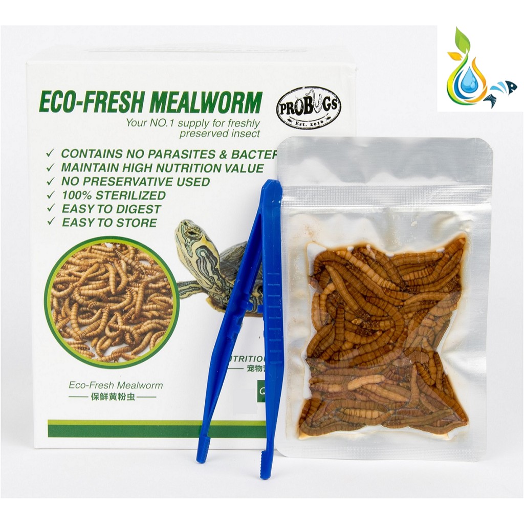 PROBUGS EcoFresh Mealworm 20g Shopee Philippines