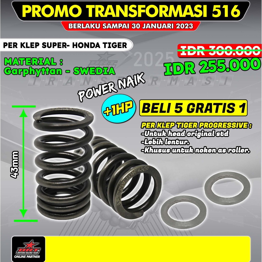 Honda Tiger BRT Super Valve Spring | Shopee Philippines