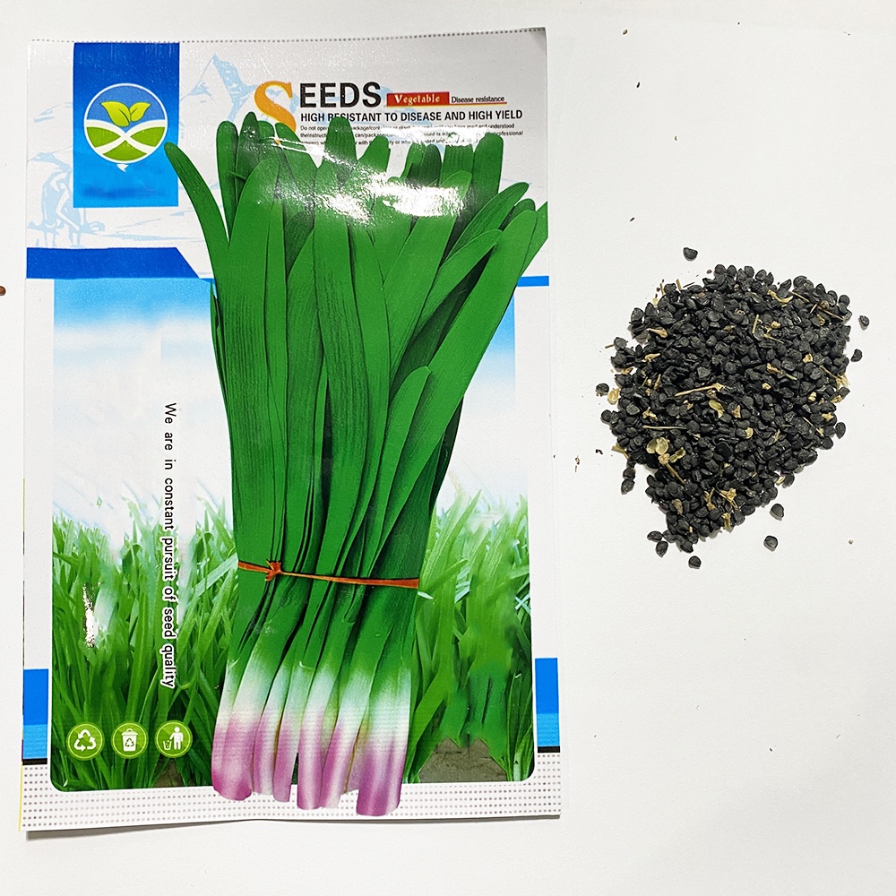 Home Zania Plantitas and Plantitos Hybrid Fruits and Vegetable Seeds