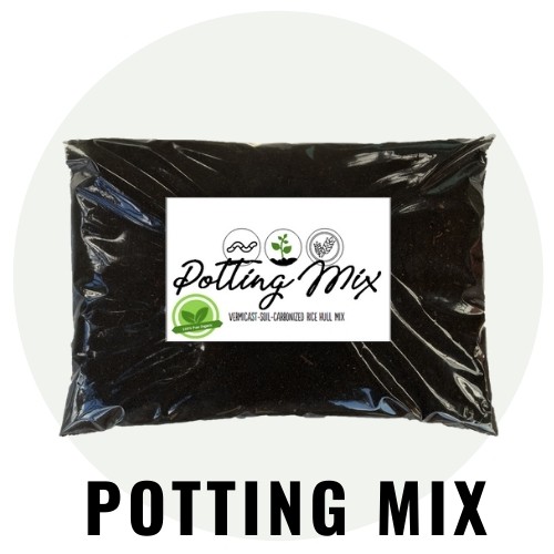 3KG COMPLETE POTTING MIX with vermicast, carbonized rice hull and soil