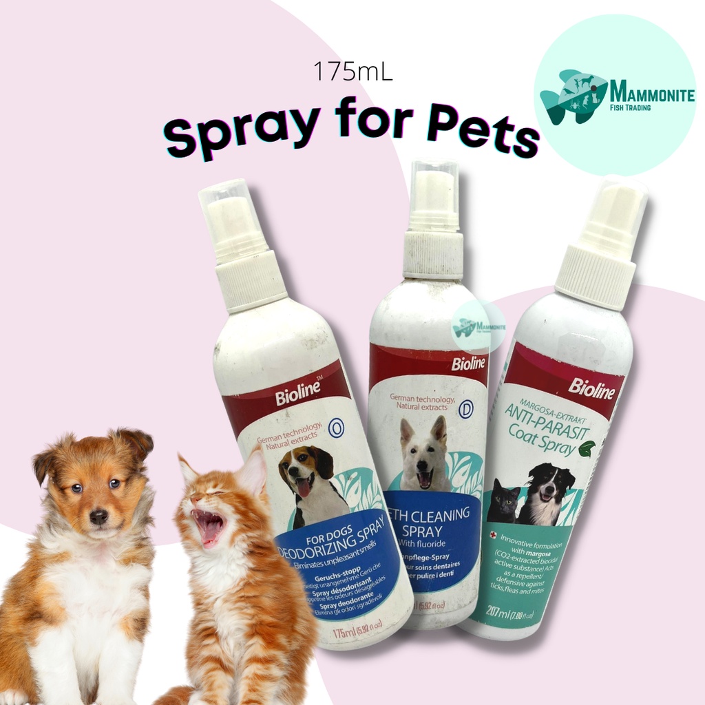 Bioline Deodorizing Spray for Dogs, Flea and Tick Spray, Teeth Cleaning