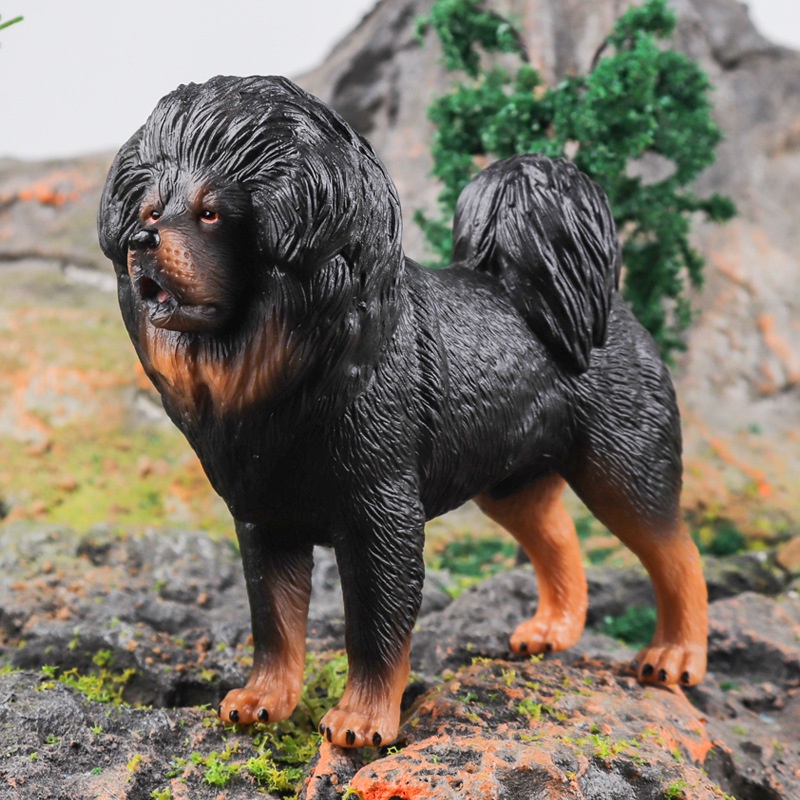 Shepherd Dog Collie Tibetan Mastiff Labrador Shapi Animal Model ...