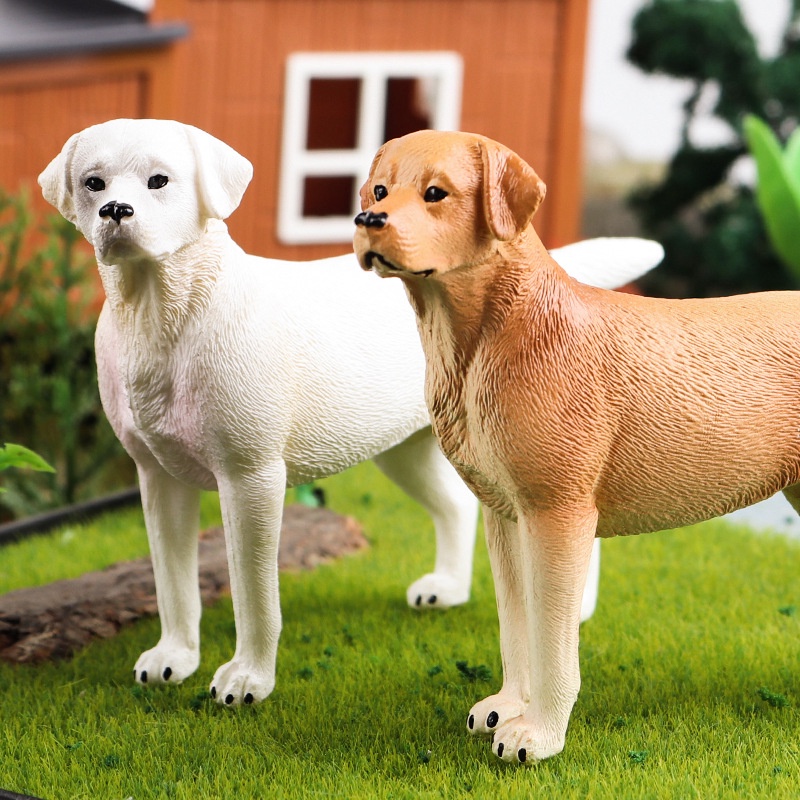 Shepherd Dog Collie Tibetan Mastiff Labrador Shapi Animal Model ...