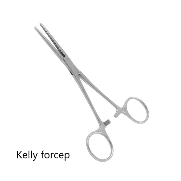Secheron Mosquito Forceps and Kelly Forceps Shopee Philippines