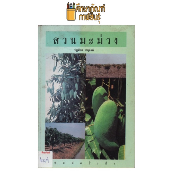 Mango Park by Pathal Peachol Yu Akee Shopee Philippines