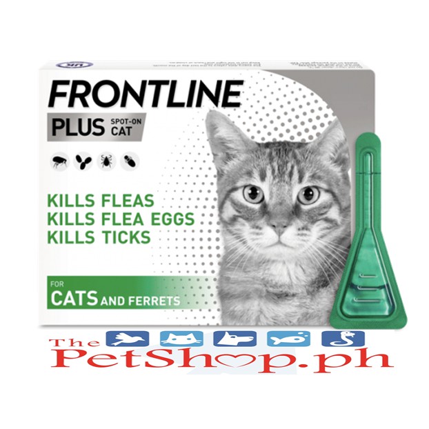 Frontline drops shop for cats