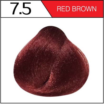 Bremod Hair Color (Copper, Red, Burgundy, Purple, Mahogany, Violet) 100 ...