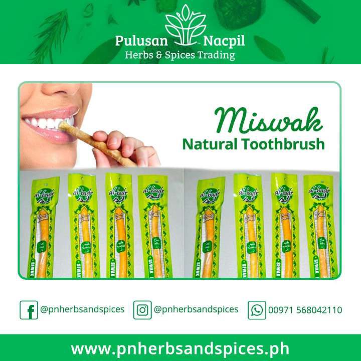 Miswak Natural Toothbrush 1pc