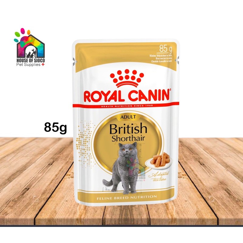 British shorthair wet store food