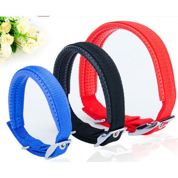 Foam best sale dog collar