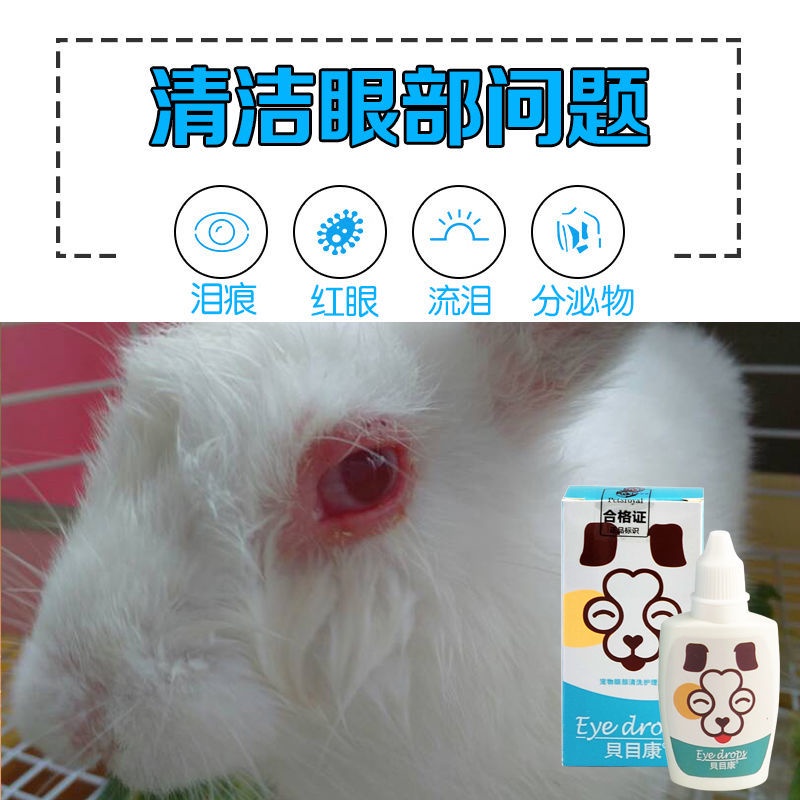 Rabbit Eye Drops Potion Angle Mask Inflammatory Inflammation Bermatis