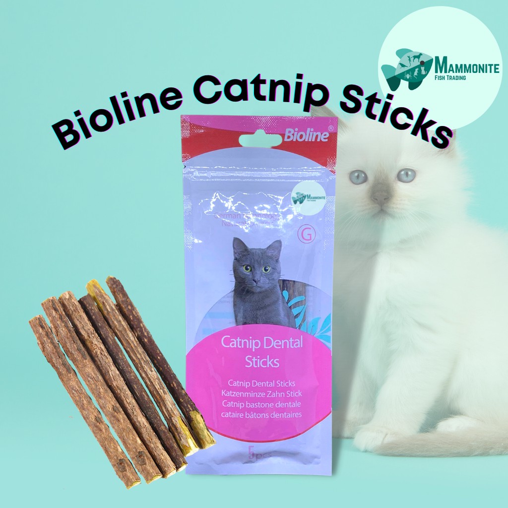 Catnip hotsell dental sticks