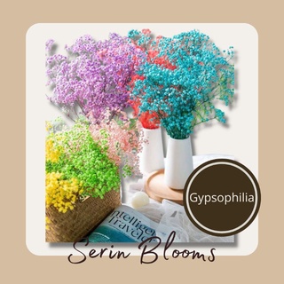 Shop baby's breath for Sale on Shopee Philippines