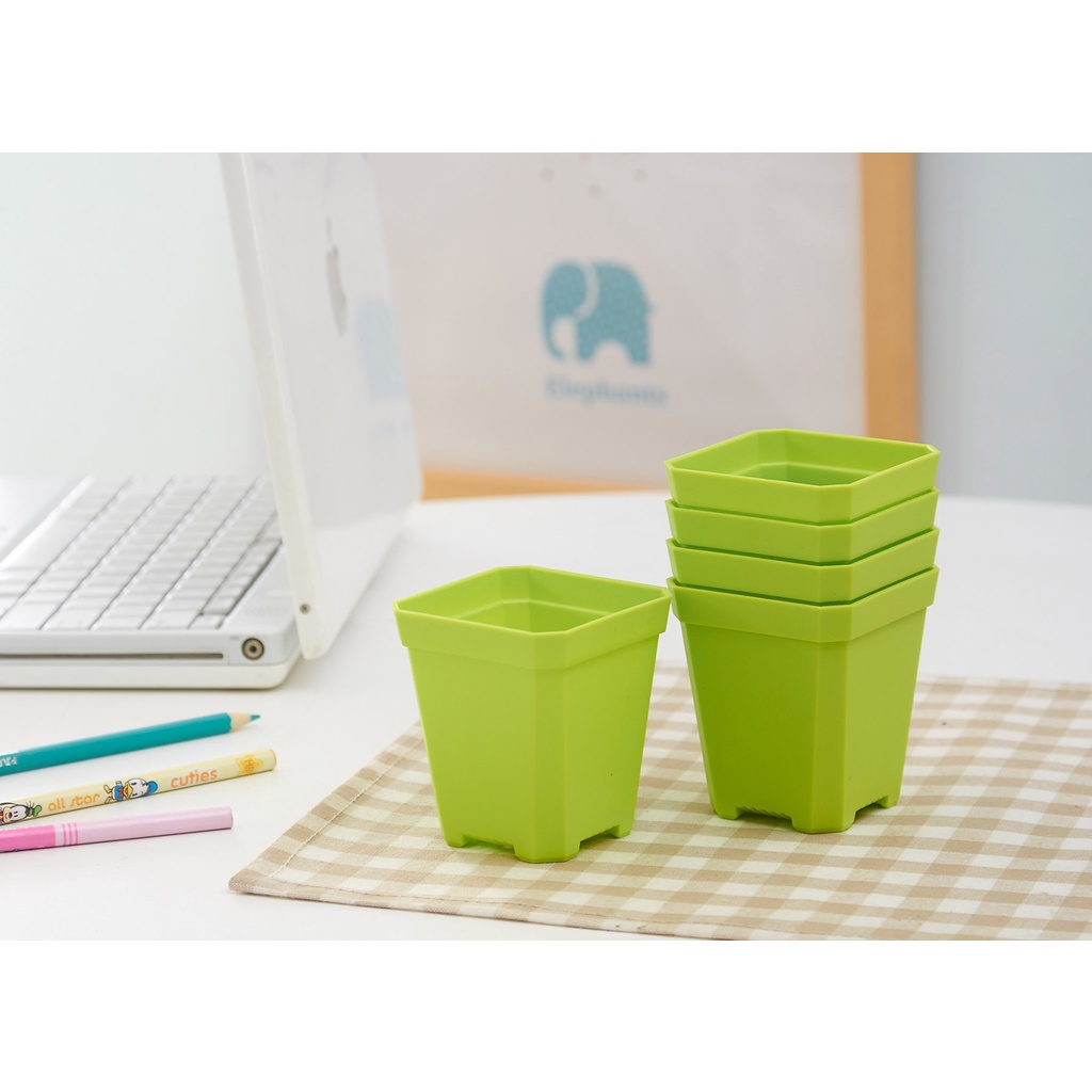 Mini Plastic Square pots for Carnivorous plants, Cactus and Succulents