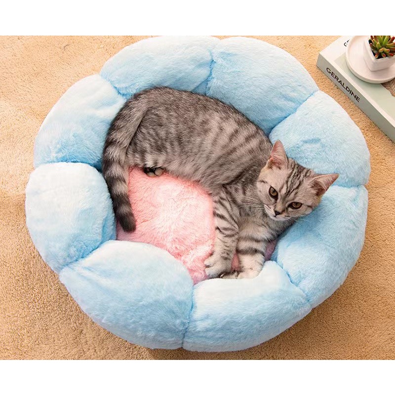 Cat 2025 bed shopee