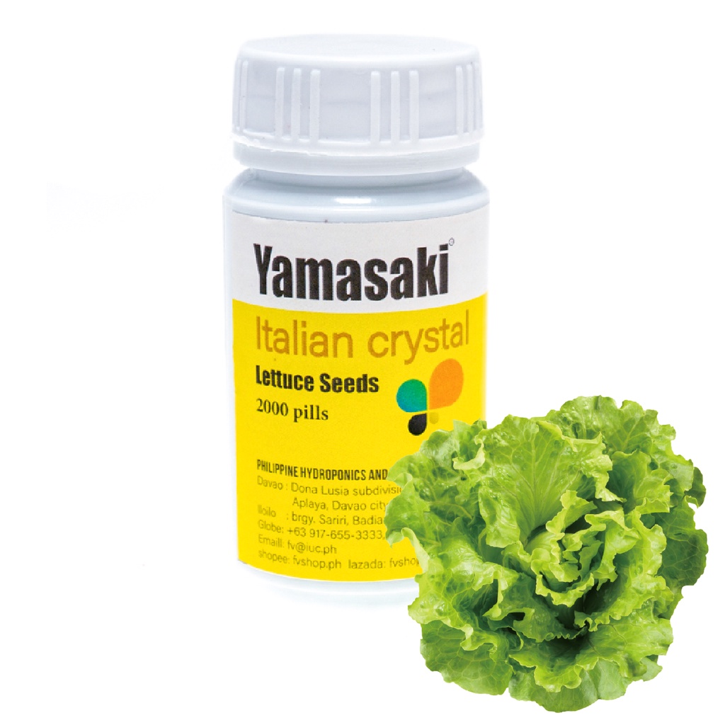 Yamasaki Series Coated Commercial Lettuce Seeds 2000 Pills Shopee