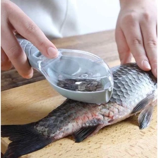 fish scaler - Best Prices and Online Promos - Apr 2024
