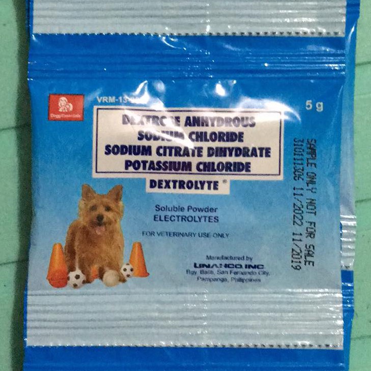 Electrolyte powder shop for dogs