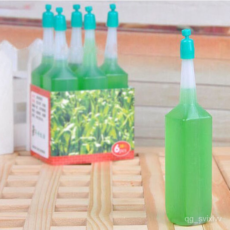 Nutrient Solution Hydroponic Hydrocotyle Water Lily Bowl Lotus Flower