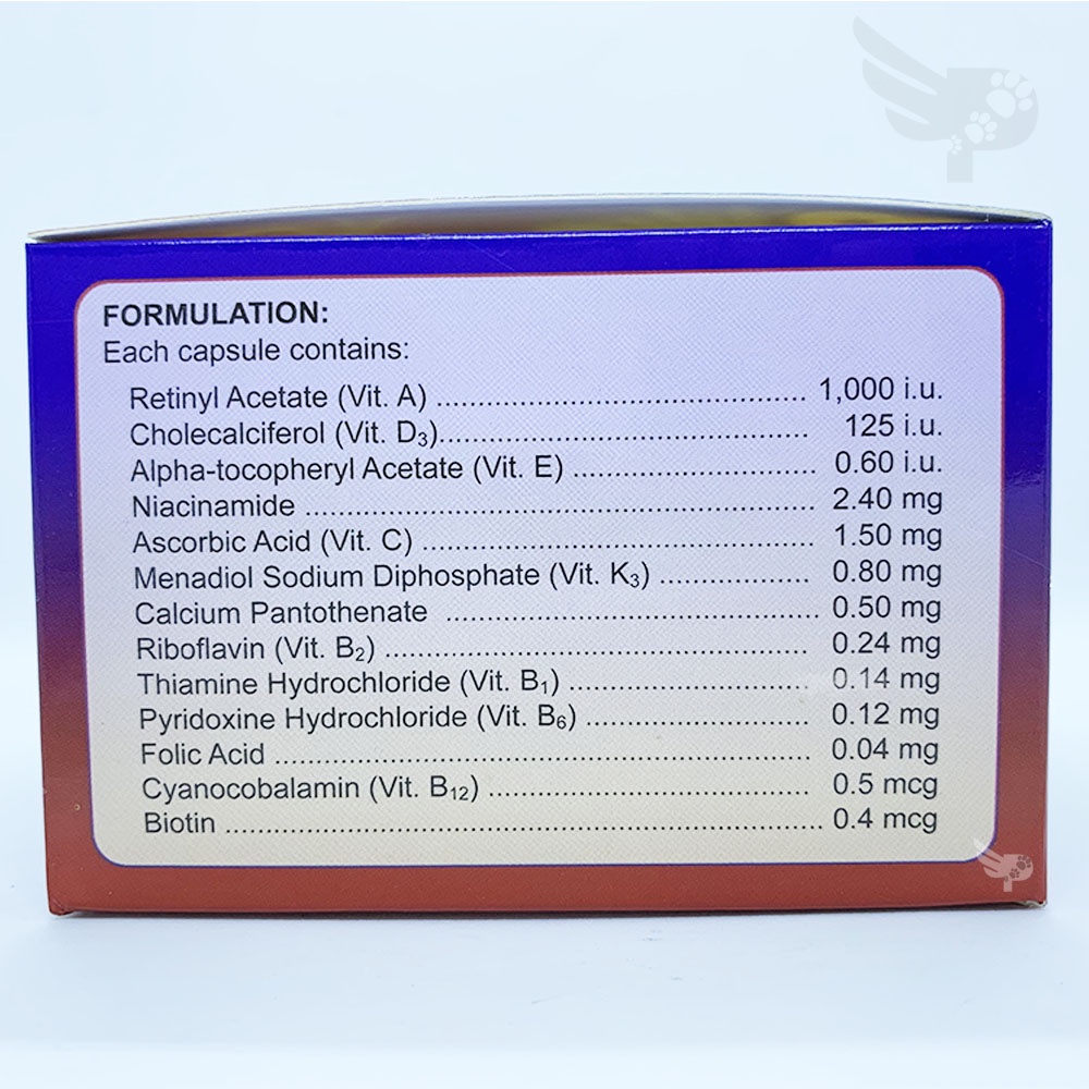 Promotor 43 - Excellence - sold per 10 tablets - Dietary Supplement for ...