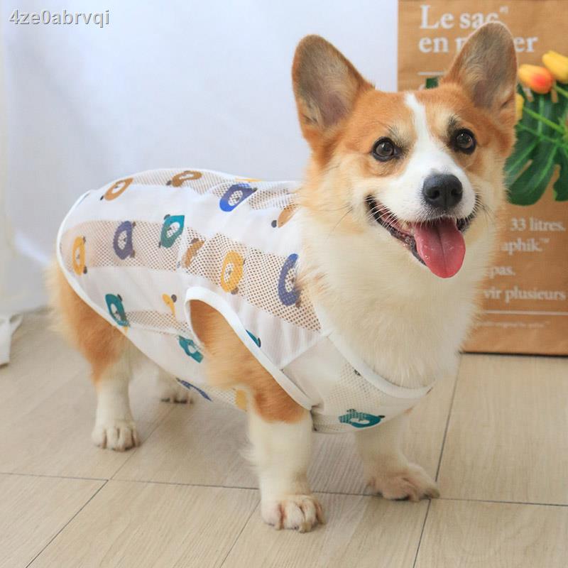 corgi clothes for dogs