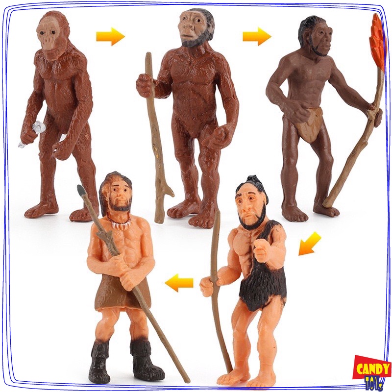 Toys MODEL OF HUMAN REGENERATIVE AND PREhistoric LIFE | Shopee Philippines