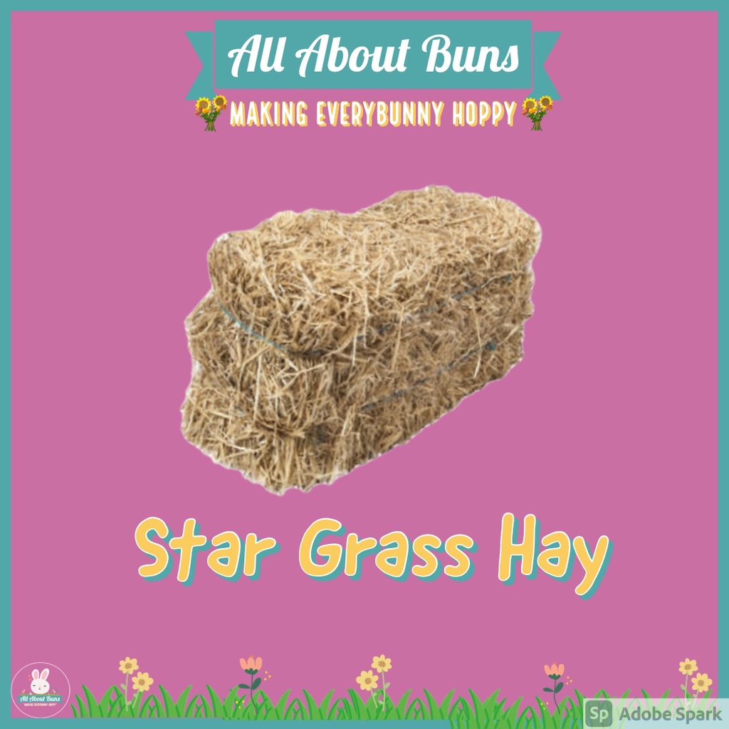 PREMIUM STAR GRASS HAY FOR RABBITS (Make mealtime exciting by offering