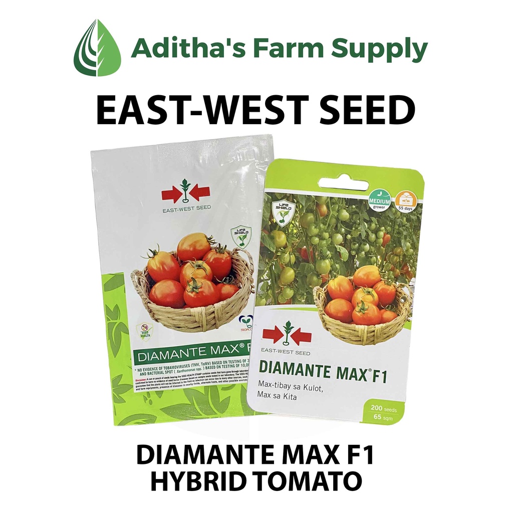 Afs East West Seed Diamante Max F1 Hybrid Tomatokamatis 200500 Seeds Shopee Philippines 6788