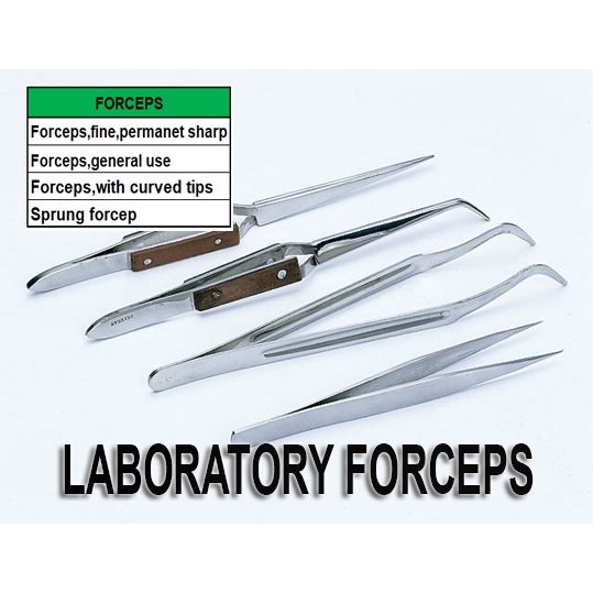 Forceps laboratory Equipments