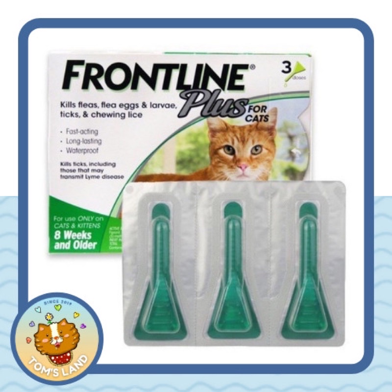 Small Nape Of The Cat To Treat Frontline Plus Lice Ticks To Kill Fungal Fleas Shopee Philippines