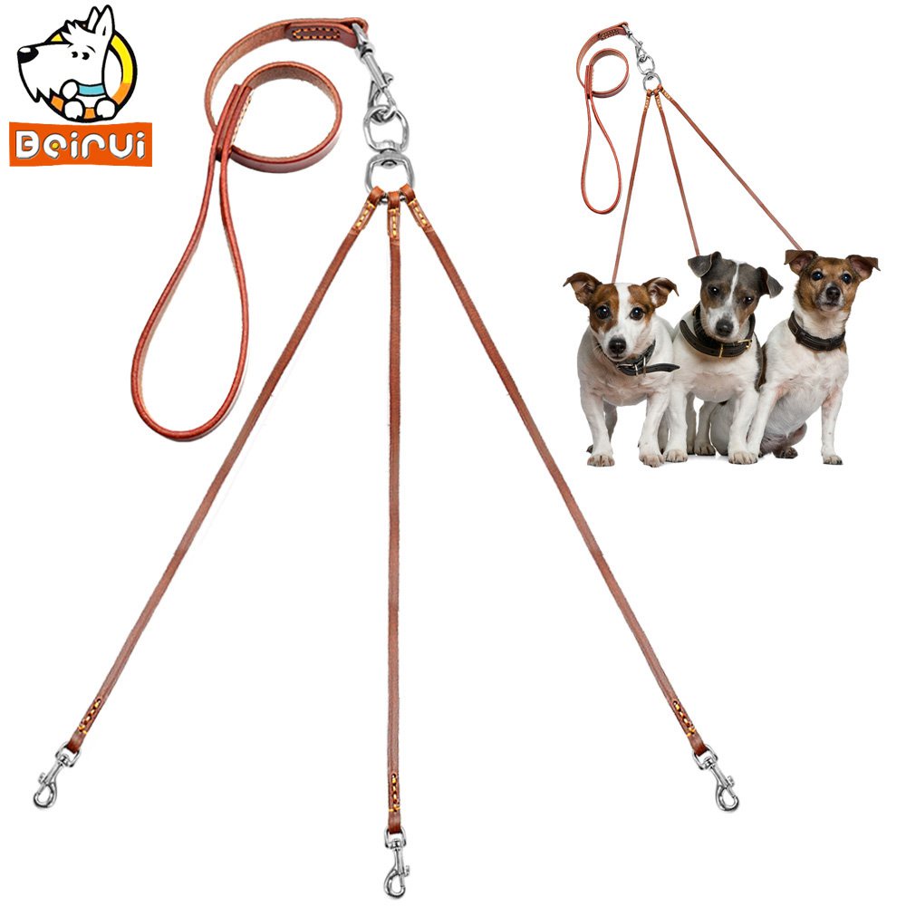 3 way dog outlet lead