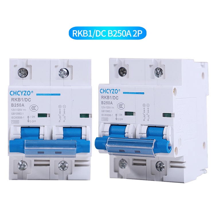 DZ47B Miniature Circuit Breaker - DC 12V-48V MCB Battery Protector 2 Pole 100A