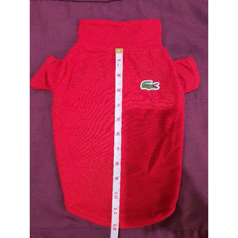 Lacoste dog outlet clothes