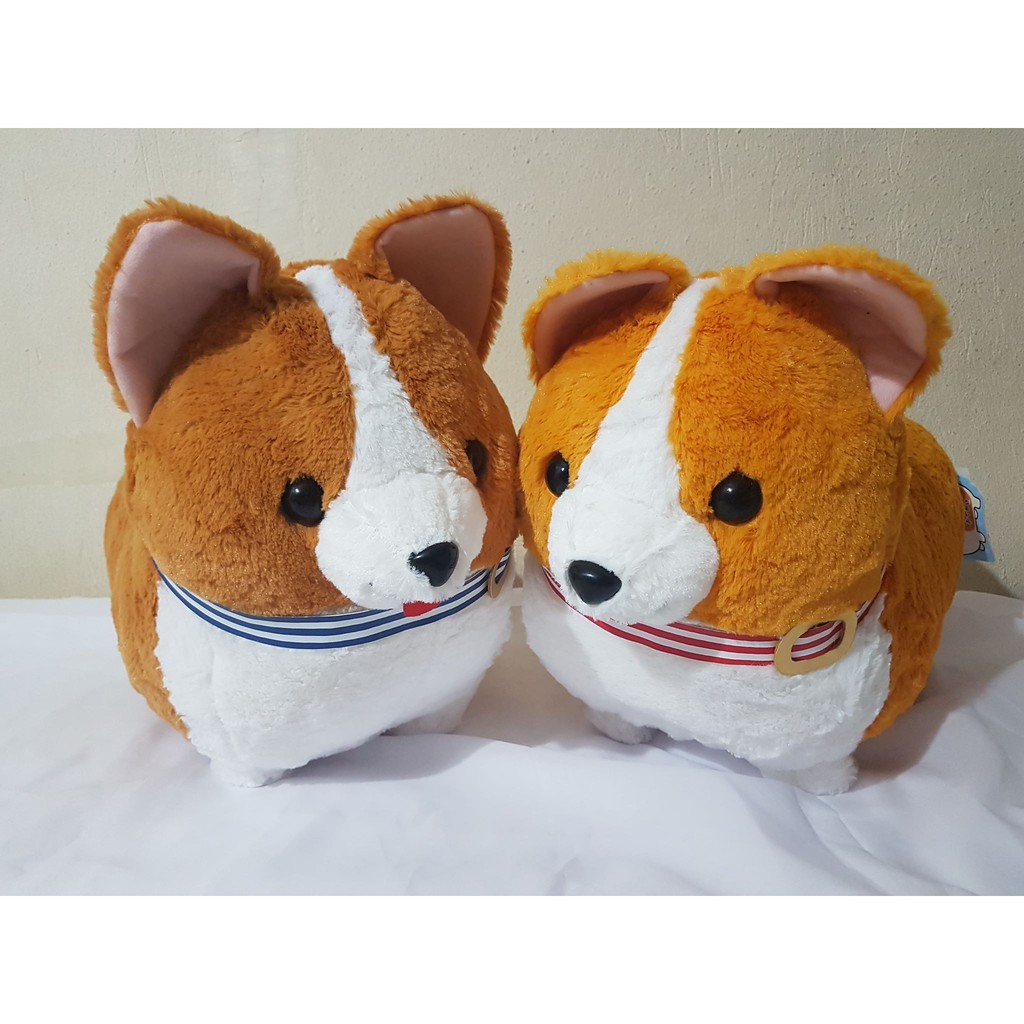 Ichini the corgi best sale