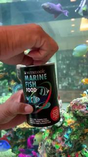 Nutrilogic ®️ Marine Fish Food for Saltwater Fish 250 Grams Sinking ...
