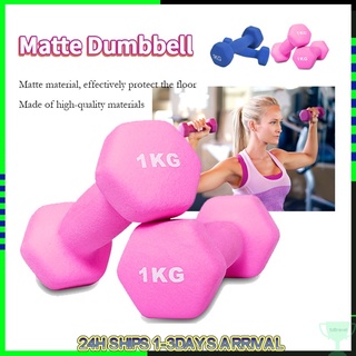Set of 2 Pink Home Exercise Dumbbells Body Sculpting Hand Weights, Dumbbells  -  Canada