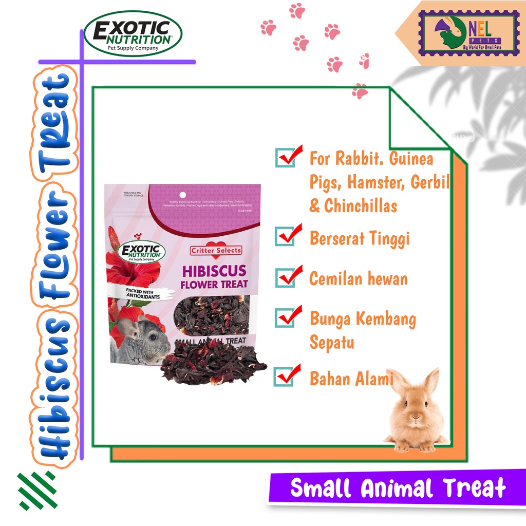 HIBISCUS FLOWER TREAT 25gr by EXOTIC NUTRITION/rabbit treats/hamster ...