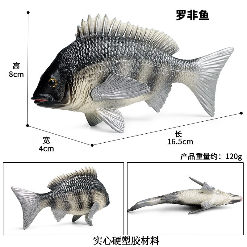 高品質】 BLASTER FISH MODEL フィッシュ agapeeurope.org