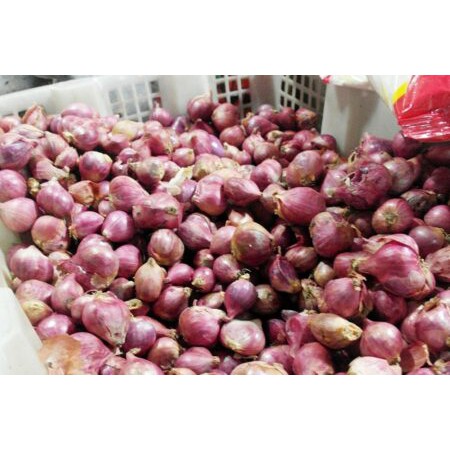 Probolinggo Red Onion / Dry Red Onion / Super Red Onion / Red Onion ...